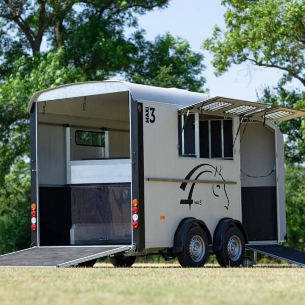 VAN CHEVAL LIBERTE – DIAGONAL – MAXI 3 – 3 PL